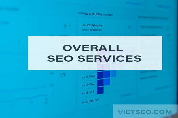 Overall SEO services